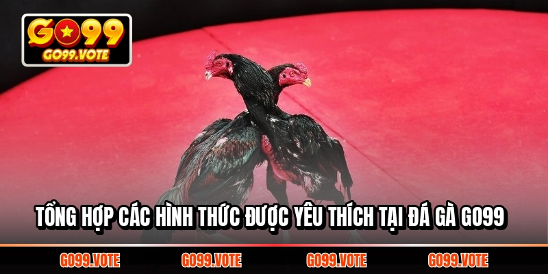 Các hình thức hot tại đá gà Go99